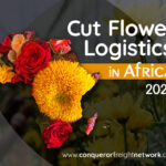 Independent Freight Forwarders